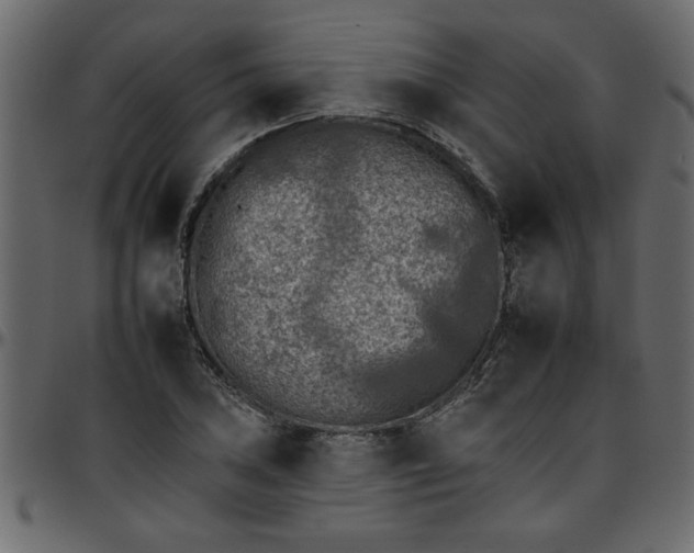 X0000095671027200801221200