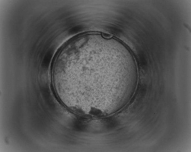 X0000095671028200801221200