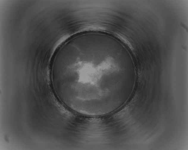 X0000095671029200801221200