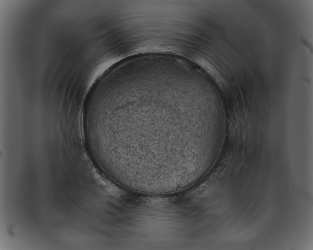 X0000095671030200801221200