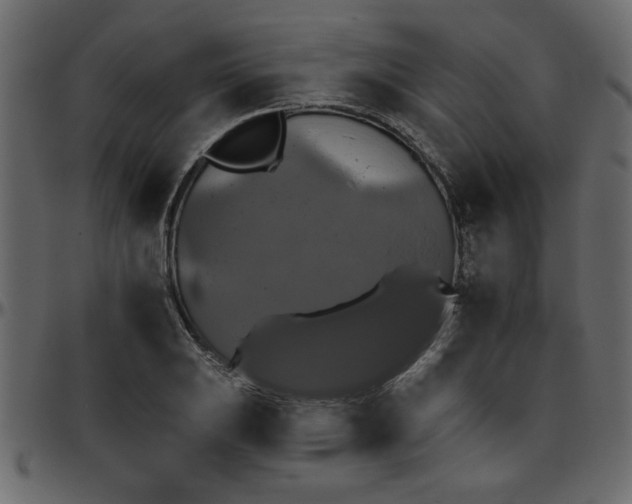 X0000095671031200801221200