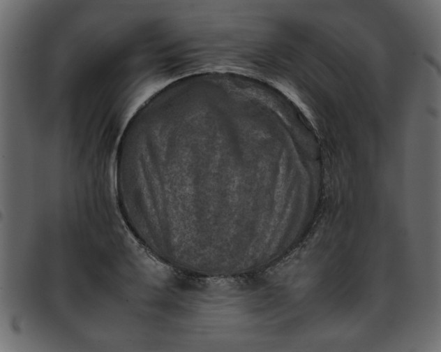 X0000095671032200801221200