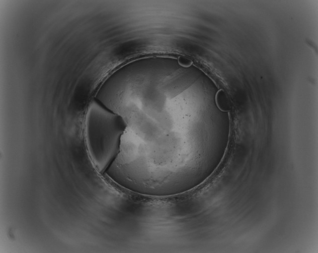 X0000095671033200801221200