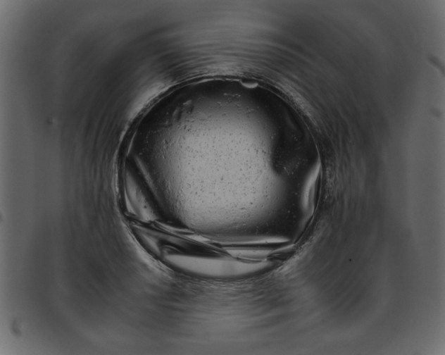 X0000095671034200801221200