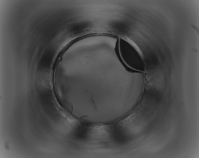 X0000095671035200801221200