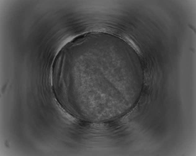 X0000095671036200801221200