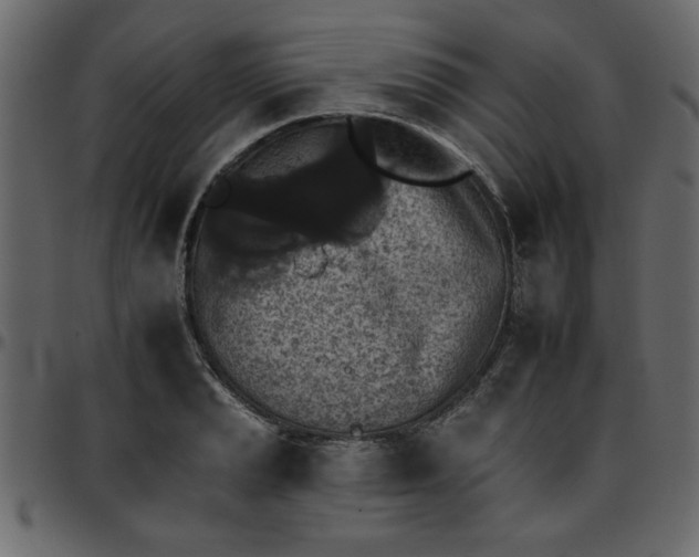 X0000095671037200801221200