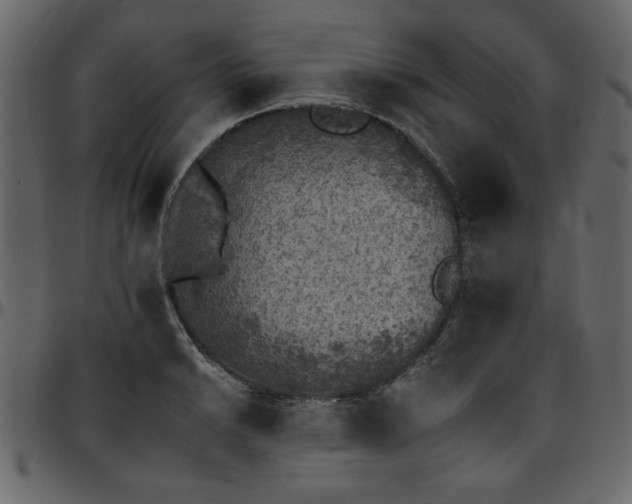 X0000095671038200801221200