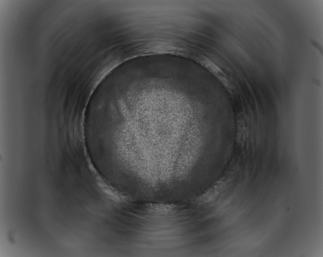 X0000095671039200801221200