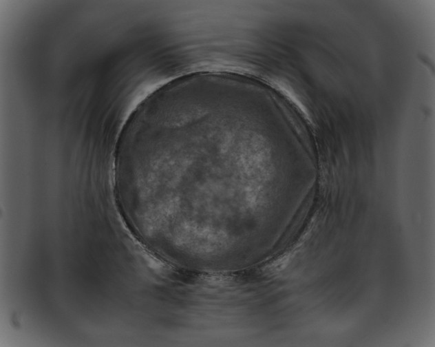 X0000095671040200801221200