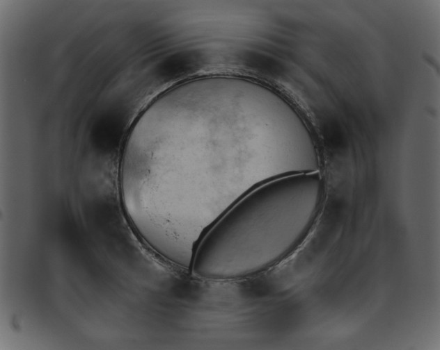 X0000095671041200801221200