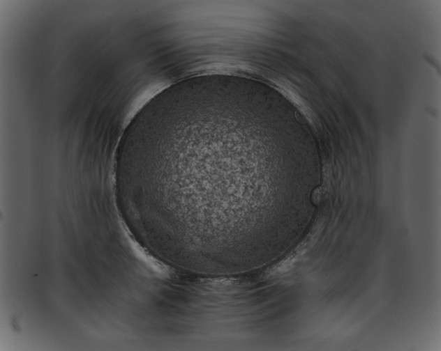 X0000095671042200801221200