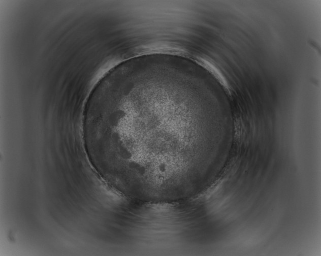 X0000095671043200801221200