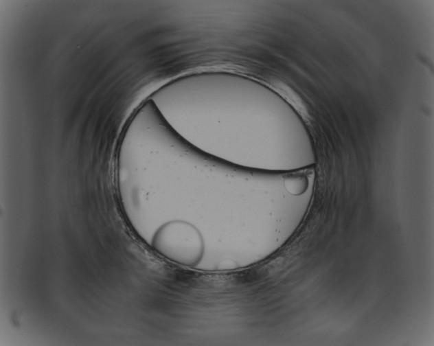 X0000095671044200801221200