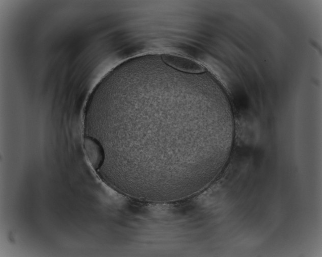 X0000095671046200801221200