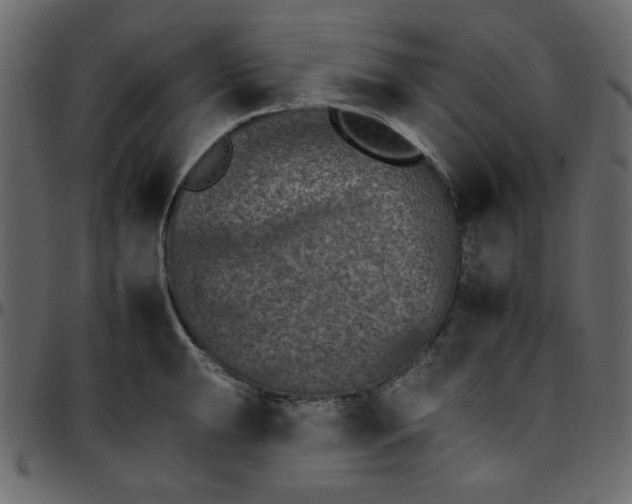 X0000095671047200801221200