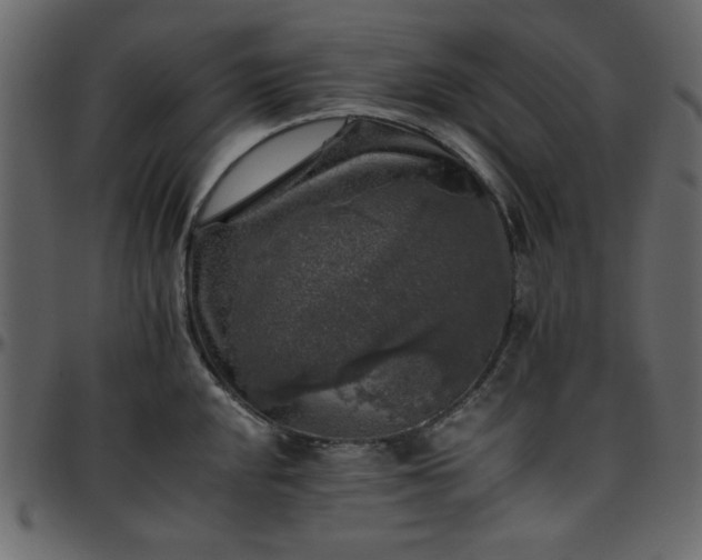 X0000095671048200801221200