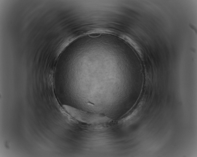 X0000095671049200801221200