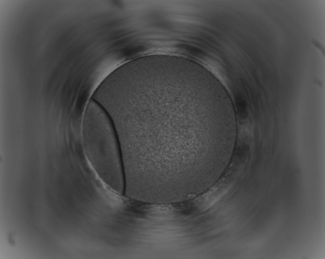 X0000095671050200801221200