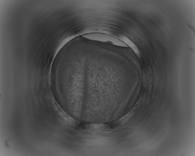 X0000095671052200801221200