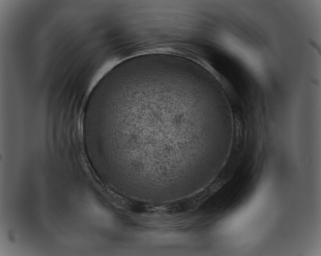 X0000095671054200801221200