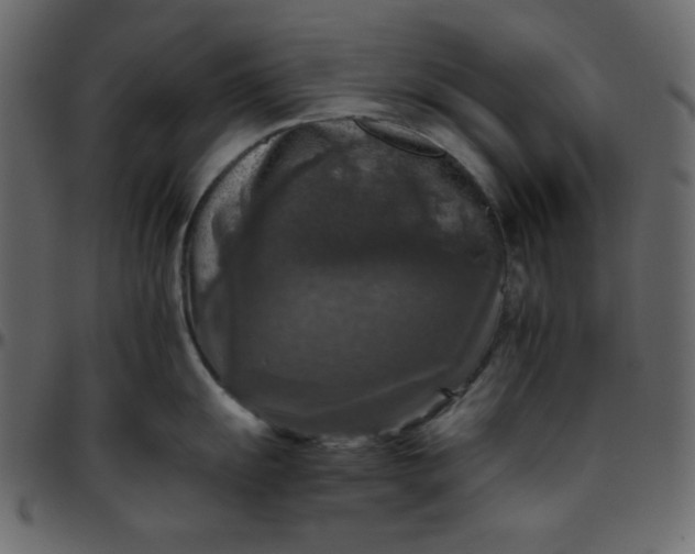 X0000095671055200801221200