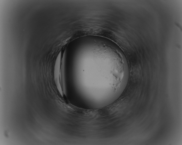 X0000095671058200801221159