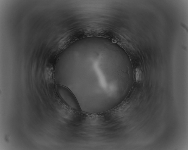 X0000095671059200801221159