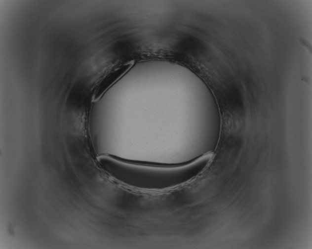 X0000095671060200801221159