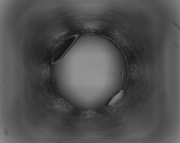 X0000095671061200801221159