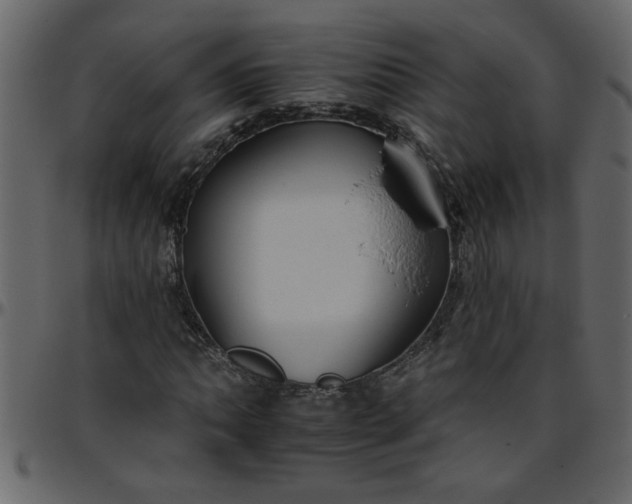 X0000095671062200801221159