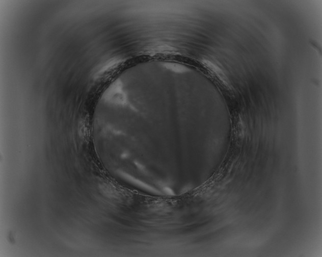 X0000095671063200801221159