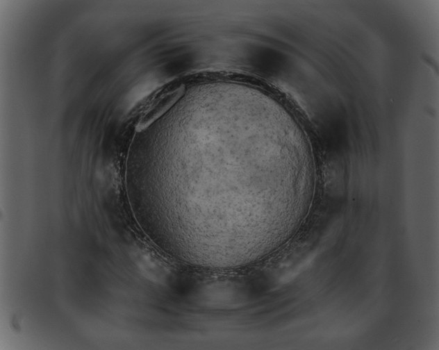 X0000095671064200801221159