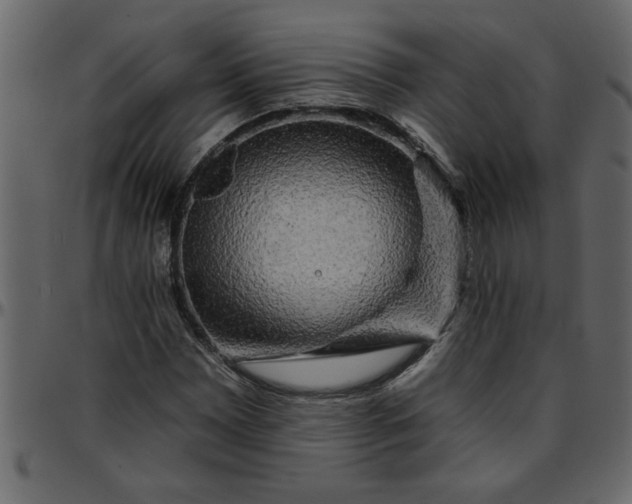 X0000095671065200801221159