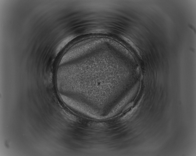 X0000095671066200801221159