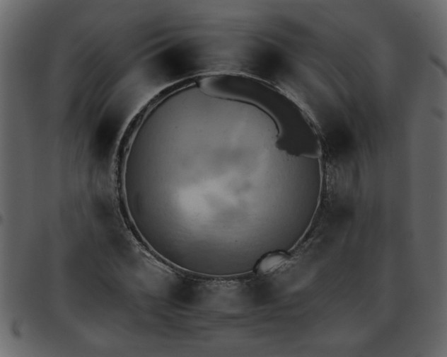 X0000095671068200801221159