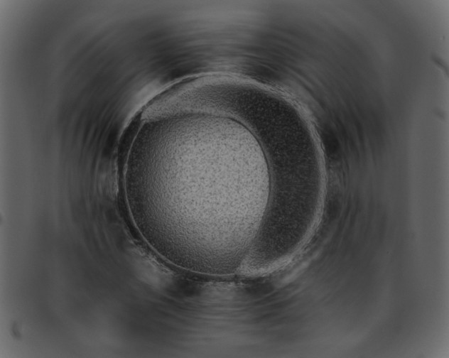 X0000095671069200801221159