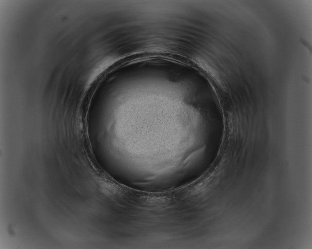 X0000095671070200801221159