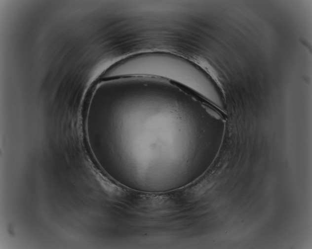 X0000095671072200801221159