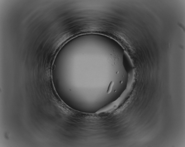 X0000095671073200801221159