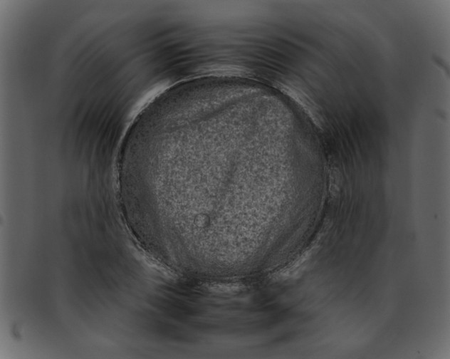 X0000095671074200801221159