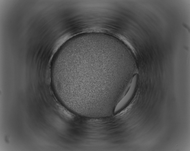 X0000095671075200801221159