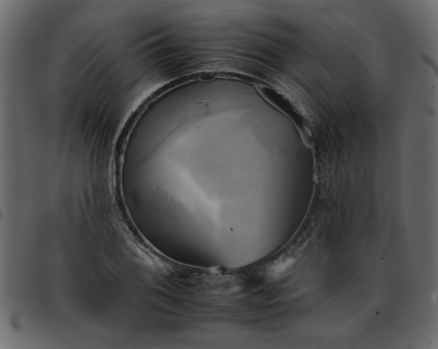 X0000095671076200801221159