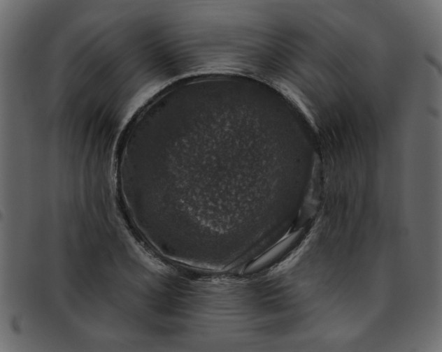 X0000095671077200801221159