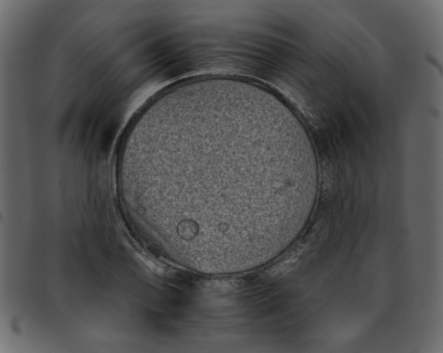 X0000095671078200801221159