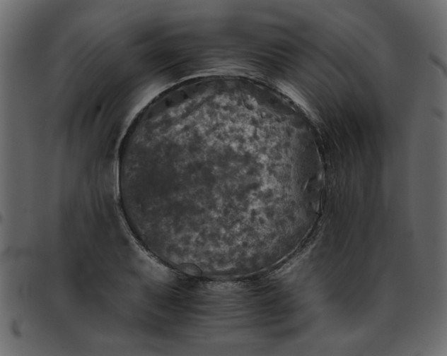 X0000095671079200801221159