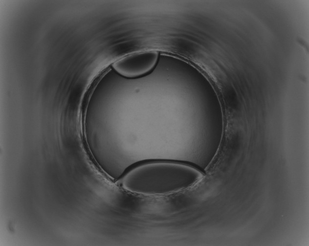 X0000095671080200801221159