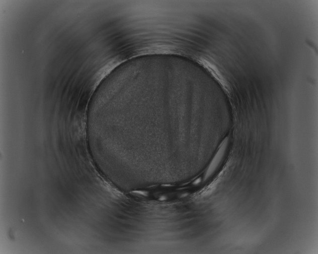 X0000095671081200801221159