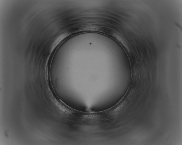 X0000095671082200801221159