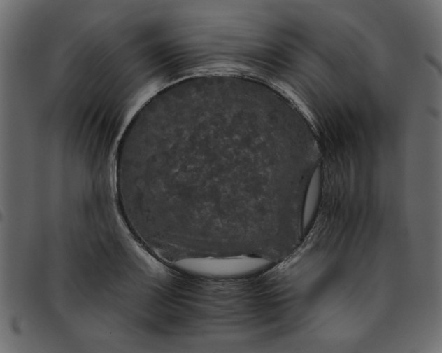 X0000095671083200801221159